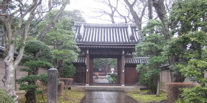 おさんぽ🚶‍♀️ときわ台