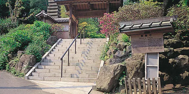 都心から日帰りで、鎌倉リラックス旅
