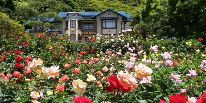 本当は教えたくない！鎌倉のお気に入り5選