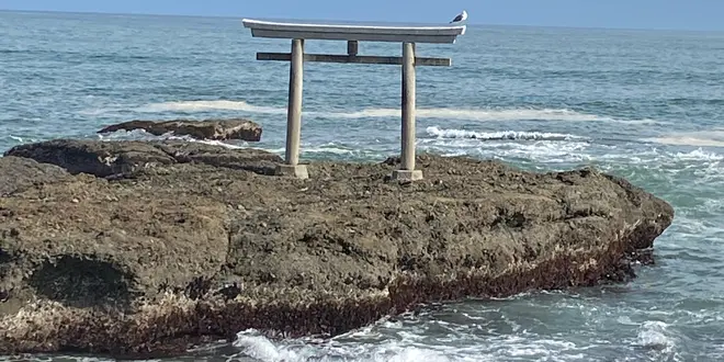 偕楽園とアンコウ日帰りツアー