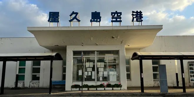 屋久島レンタカー旅🚗主要な見どころを1日で巡るおすすめプラン