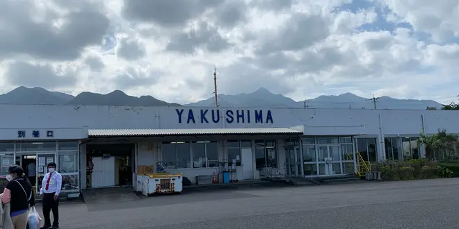 屋久島に行くンゴ