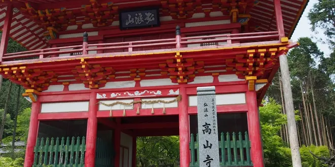 京都市動物園と京都三尾旅行