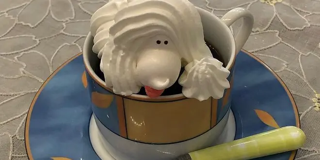 【横浜駅周辺】ふらっと立ち寄れるスポット紹介🌝