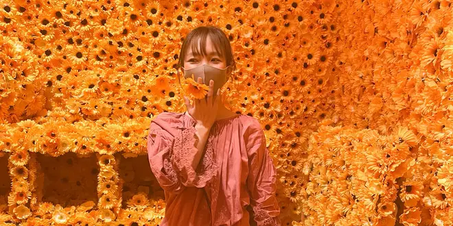 神楽坂さんぽ ＋ 美術館
