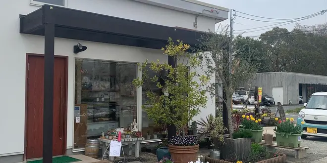 ランチがてらお花見🌸