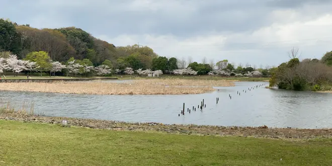 里山の春