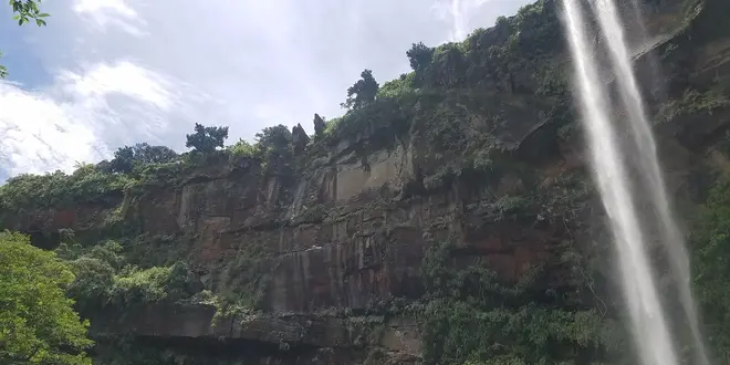 【西表島】ピナイサーラは絶対🙊
