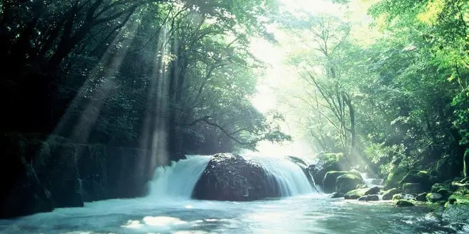夫婦で愛を深める菊池旅