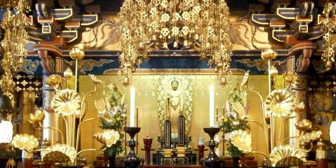 イベント鑑賞