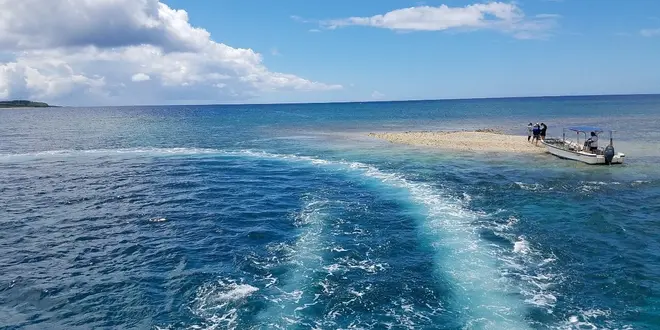 【西表島】バラス島へ🏖由布島も紹介♪