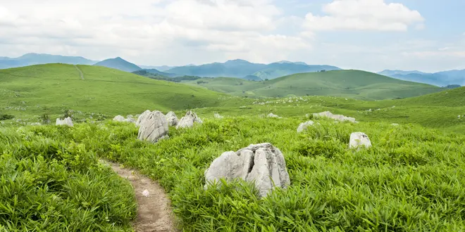 小京都津和野散策と歴史の街やまぐち、萩往還と秋芳洞まで欲張る旅