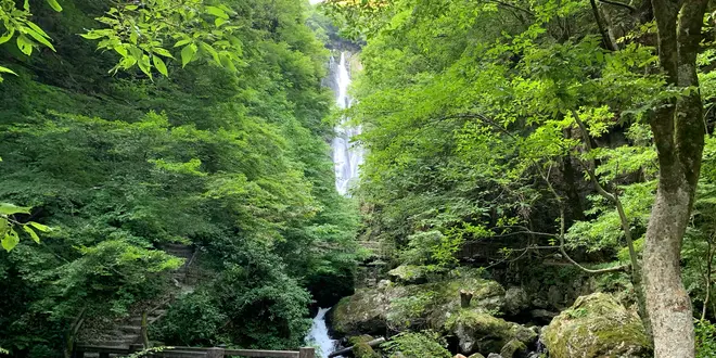 【岡山県】高梁・新見・真庭を満喫する1泊2日ドライブ旅🚗✨！