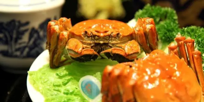 《中国・上海編》食欲の秋に上海蟹を食べに行こう🦀CAと巡る上海１泊2日旅！