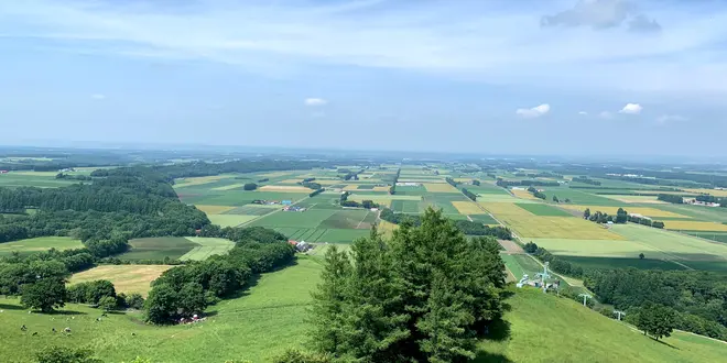 【北海道】初夏の十勝・帯広を堪能する充実の1泊2日旅