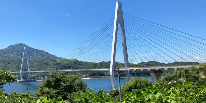 【しまなみ海道】初心者向け🚲日帰りでしま巡りサイクリング