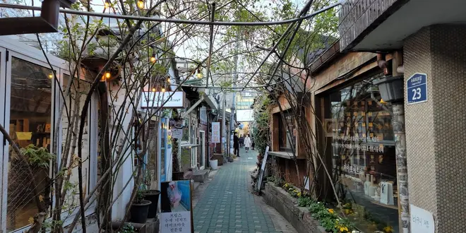 ソウル🇰🇷3日目(2023/11/24)