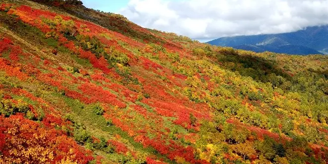 神々の遊ぶ庭・大雪山系はまじでやばい（赤岳～白雲岳編）