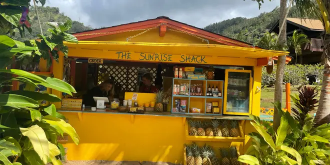綺麗な海と美味しいアサイーを食べに行こう！の旅🏄‍♀️