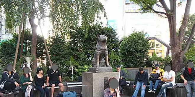 【渋谷】私の定番コース♩