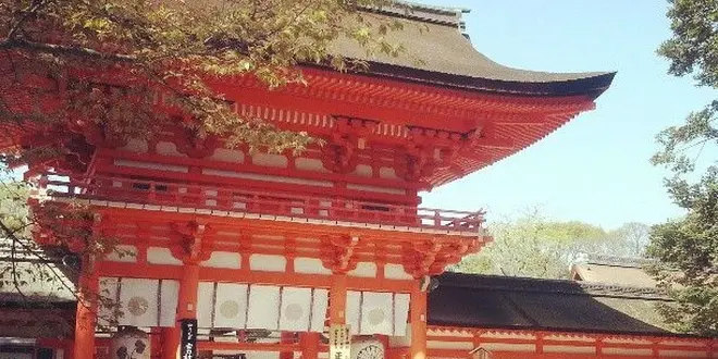 京都 左京区 〜下鴨神社とパンとケーキ散歩〜