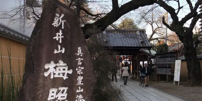 【新井薬師】初詣さんぽ🍘