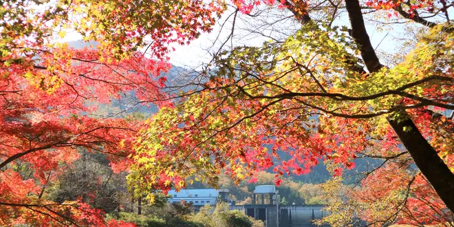【京都・美山】美山の秋色を求めて