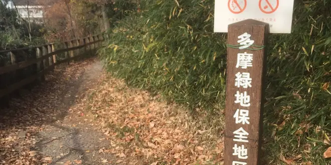 よみうりランド里山散歩 中華と日帰り温泉でまったり