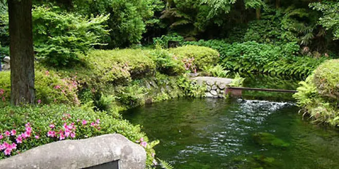 日本一の名水で和紙漉き体験! 動画紹介中♪