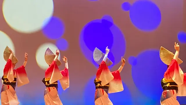Amazing!徳島