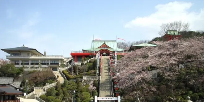 桜🌸の⛩成田山⛰と🍡成田参道食べ歩き🍘