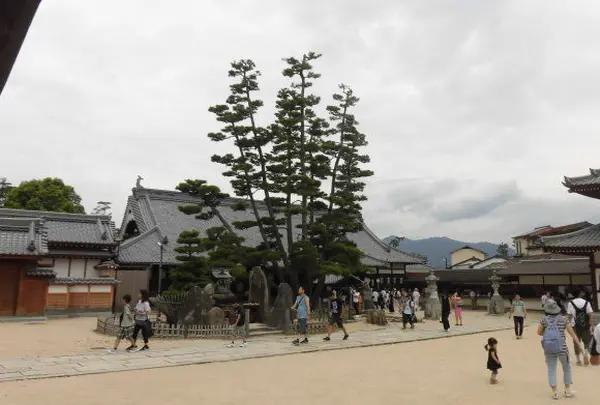 大願寺