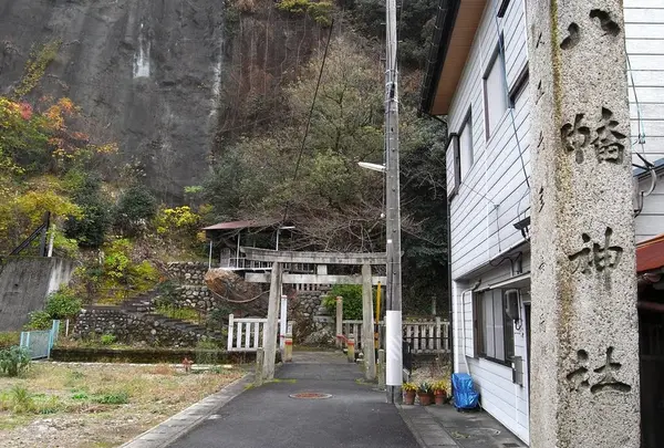 この辺り寺社仏閣が多いの写真・動画_image_28133