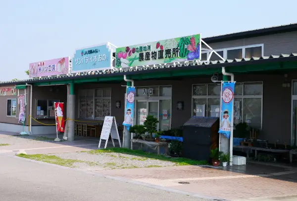 ひまわりの丘公園の写真・動画_image_54388