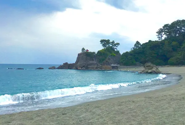 桂浜の写真・動画_image_247880