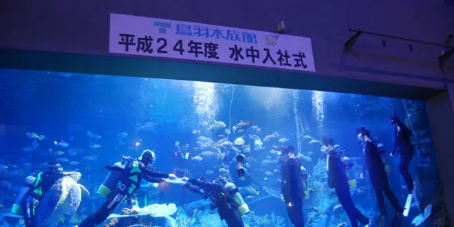 伊勢志摩 個性派水族館 & 美味めぐり
