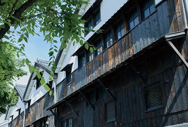 白雪ブルワリーレストラン 長寿蔵