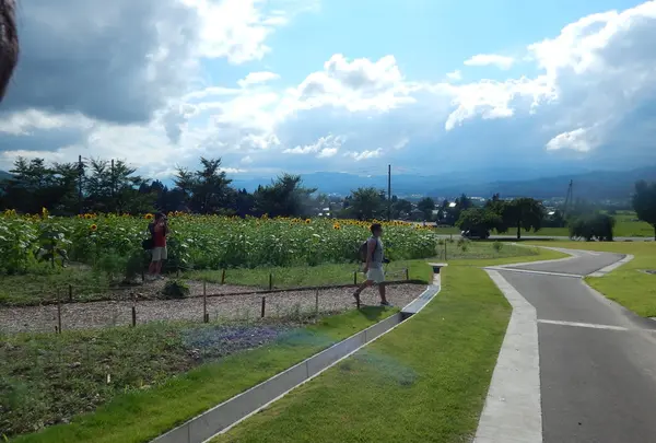 魚沼の里の写真・動画_image_153225