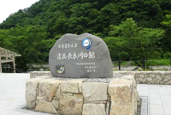 清流長良川あゆパークの写真・動画_image_597019