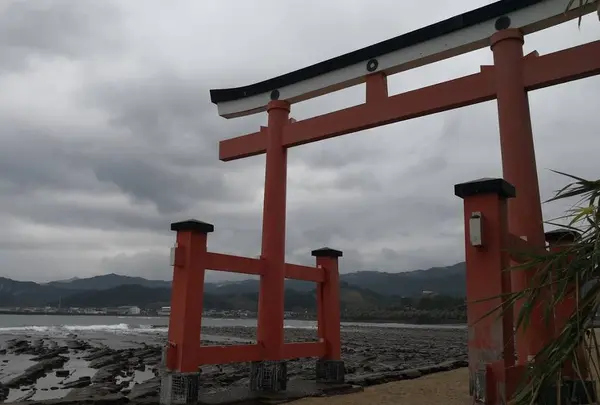 青島