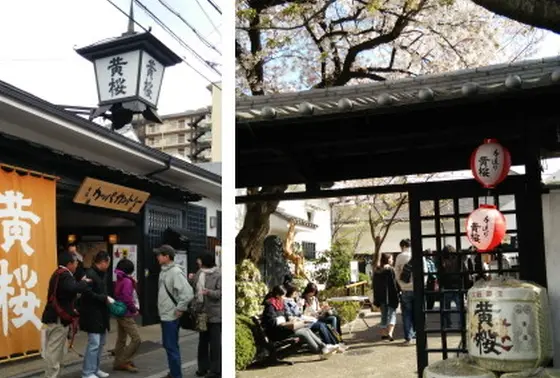 「黄桜」では庭で楽しめます