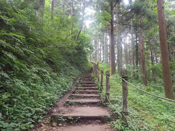 整備された階段状の山道を登ります