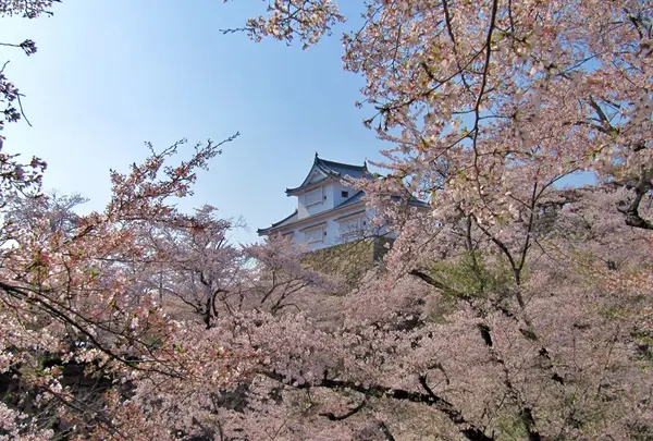 津山城跡（鶴山公園）
