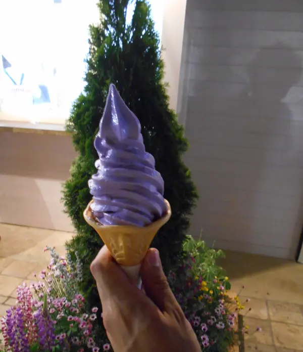 藤の花ソフト