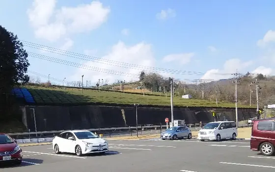 前には茶畑