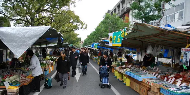 お手軽な日曜日の高知市内観光コース