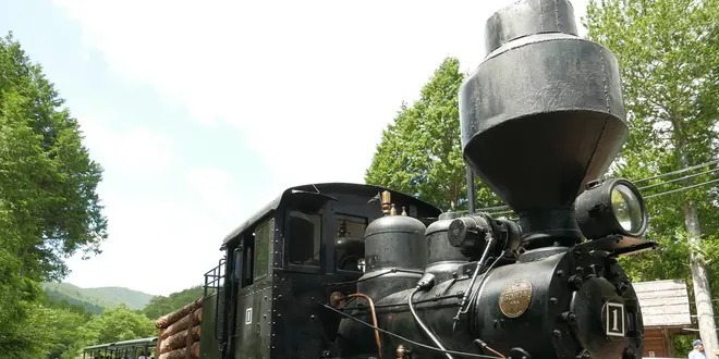 自然を満喫！赤沢自然休養林で森林セラピー