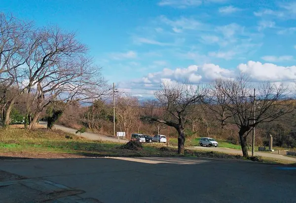 白山が見えました！