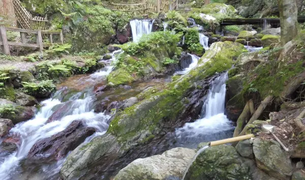 滝というより湧水です