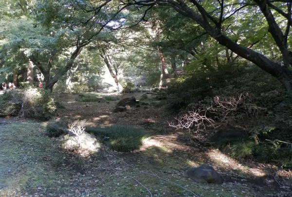 水香江(すいこうのえ)